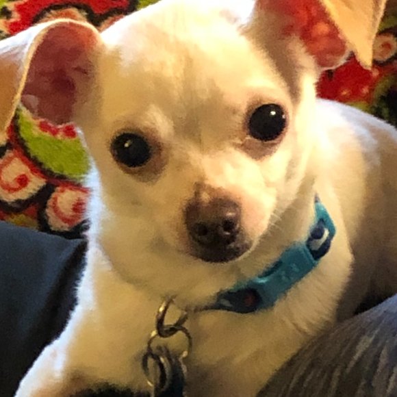 Meet your Posher, Lorie - Picture 2 of 12